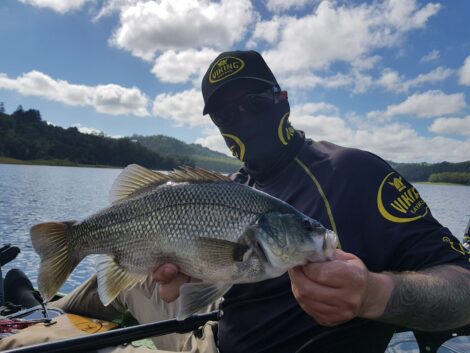 Bass Fishing Viking Gt Brisbane 5