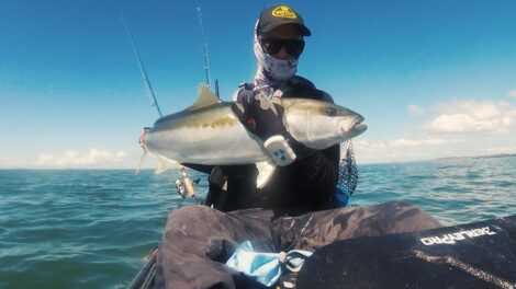 Drew Kingfish On Kayak