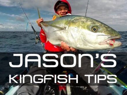 Jasons Kingfish Tips