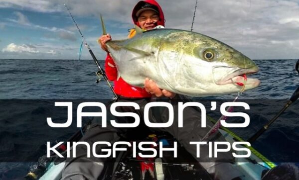 Jasons Kingfish Tips