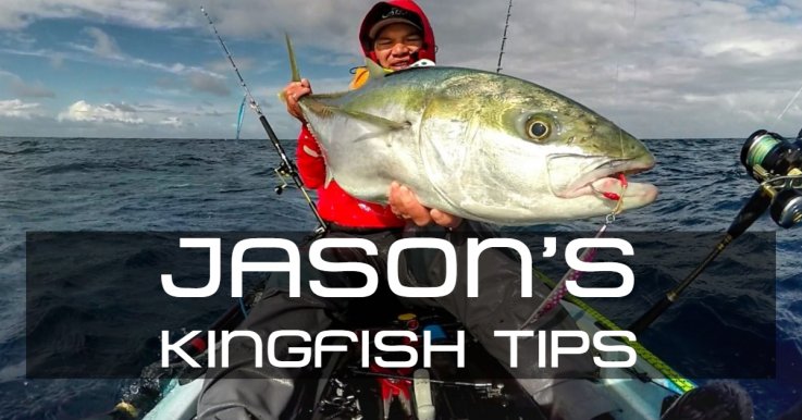 Jasons Kingfish Tips