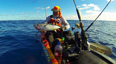 Photo2 Albacore 1 800X441 1